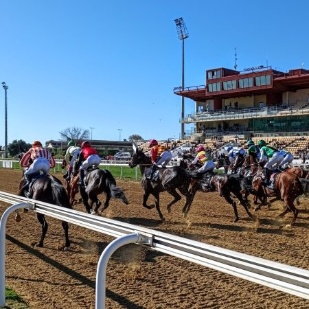 Pronósticos carreras Hipódromo Andalucía 11/01/2026