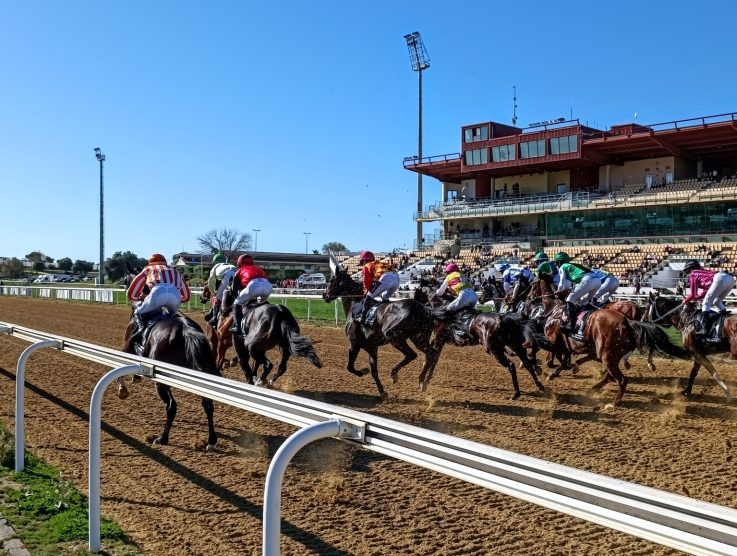 Pronósticos carreras Hipódromo Andalucía 11/01/2026