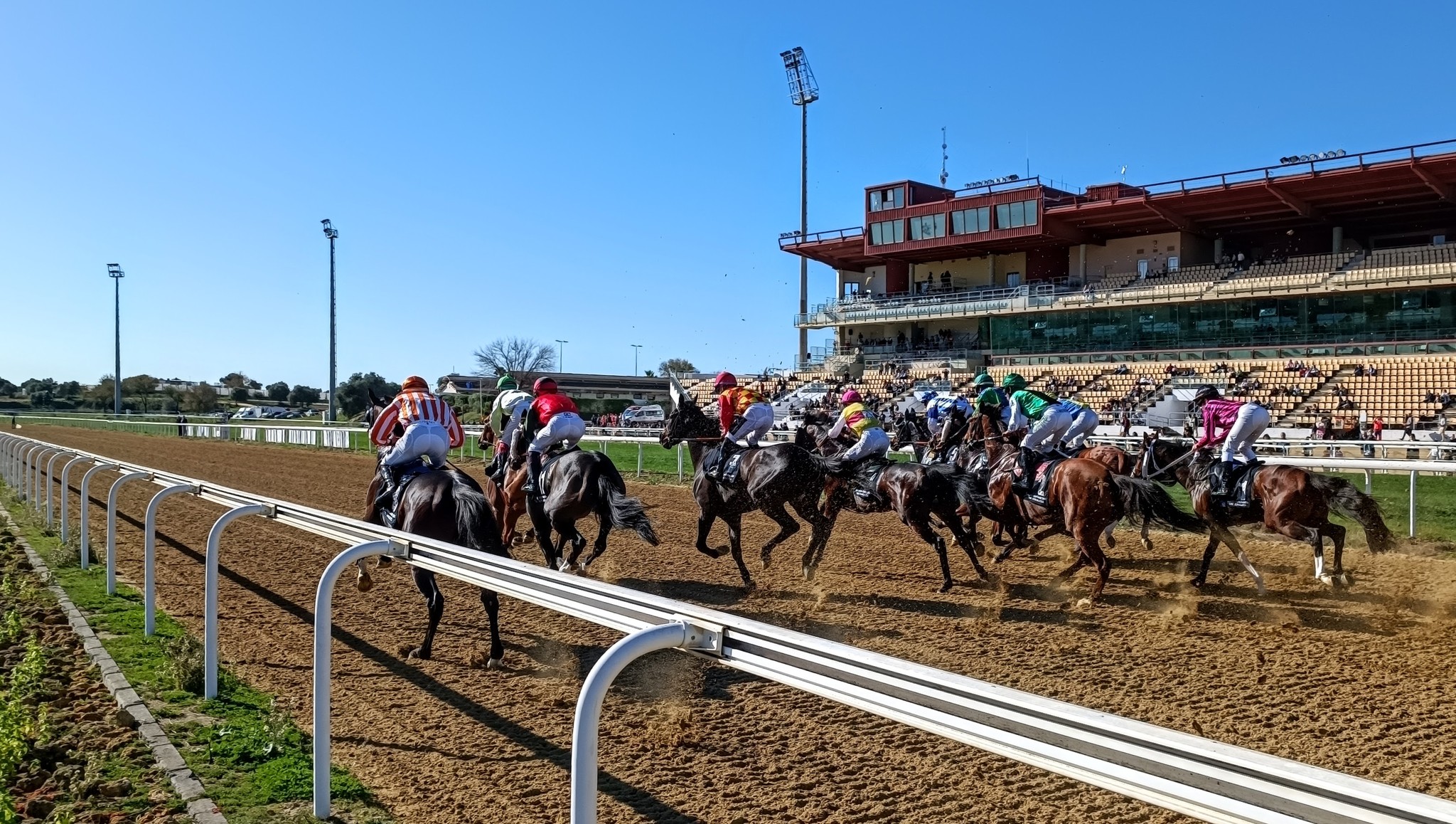 Pronósticos carreras Hipódromo Andalucía 11/01/2026